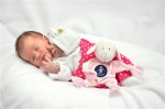 Dateiname=Lilly_Lotta_W.jpg
Dateigröße=105KB
Abmessungen: 530x351
hinzugefügt am: 12. September 2013 Lilly_Lotta_W.jpg