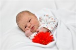 Dateiname=Lotta_Marie_R.jpg
Dateigröße=103KB
Abmessungen: 530x351
hinzugefügt am: 17. April 2013 Lotta_Marie_R.jpg