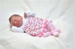 Dateiname=Mila_Schimratzki.jpg
Dateigröße=156KB
Abmessungen: 530x351
hinzugefügt am: 24. April 2012 Mila_Schimratzki.jpg