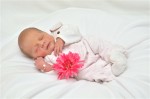 Dateiname=Ronja_S.jpg
Dateigröße=135KB
Abmessungen: 530x351
hinzugefügt am: 16. Mai 2013 Ronja_S.jpg