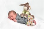 Dateiname=Samuel_v.jpg
Dateigröße=66KB
Abmessungen: 530x351
hinzugefügt am: 04. Mai 2017 Samuel_v.jpg